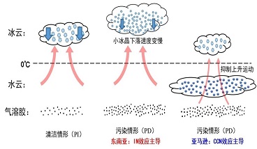 CCN（云凝結(jié)核）效應(yīng)、IN（冰核）效應(yīng)