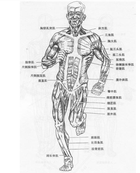 最佳的運(yùn)動(dòng)水平和方式可以對抗慢性炎癥