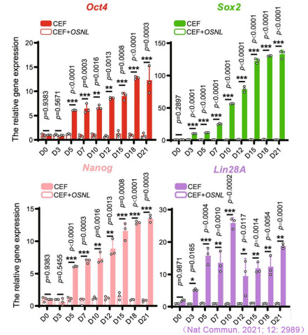 CFX Connect實時熒光定量PCR儀對iPS多能性標記基因Oct4、Sox2、Nanog和Lin28A表達的檢測.jpg